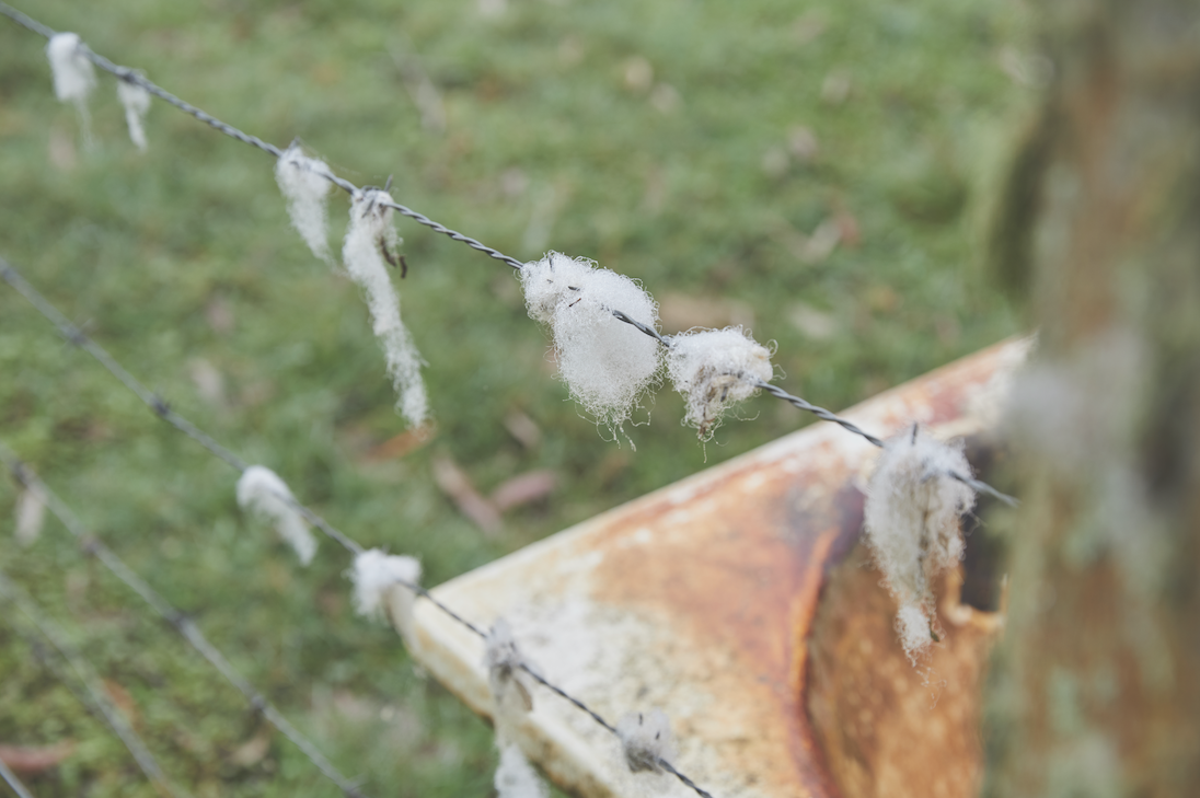 Screen Shot 2019-06-05 at 1.43.15 pm.png