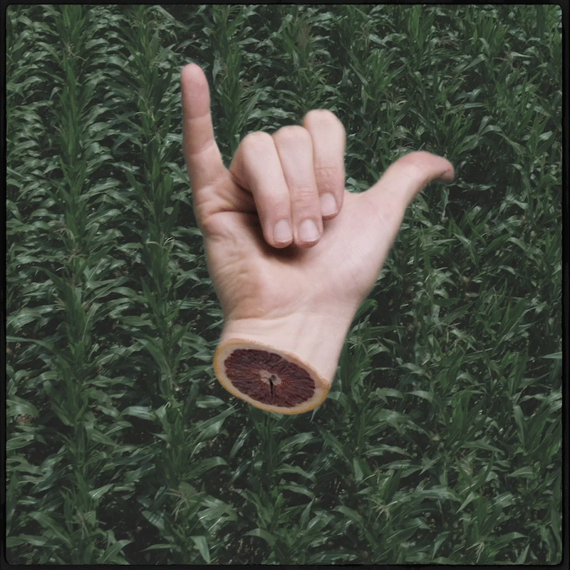 CAP19A - CAPITAL BREWING_GIF11.gif