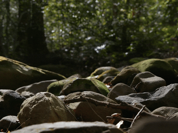 ezgif.com-optimize (1).gif