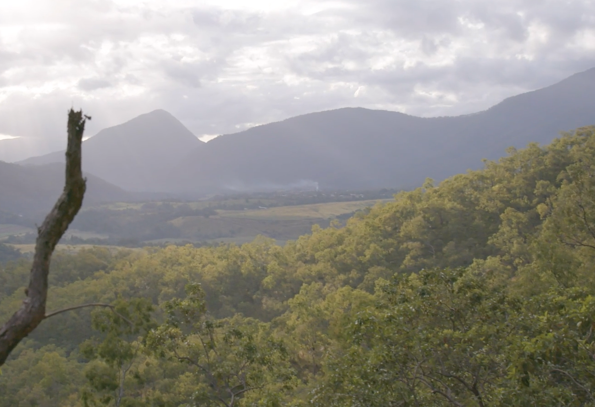 Screen Shot 2019-06-21 at 4.27.35 pm.png