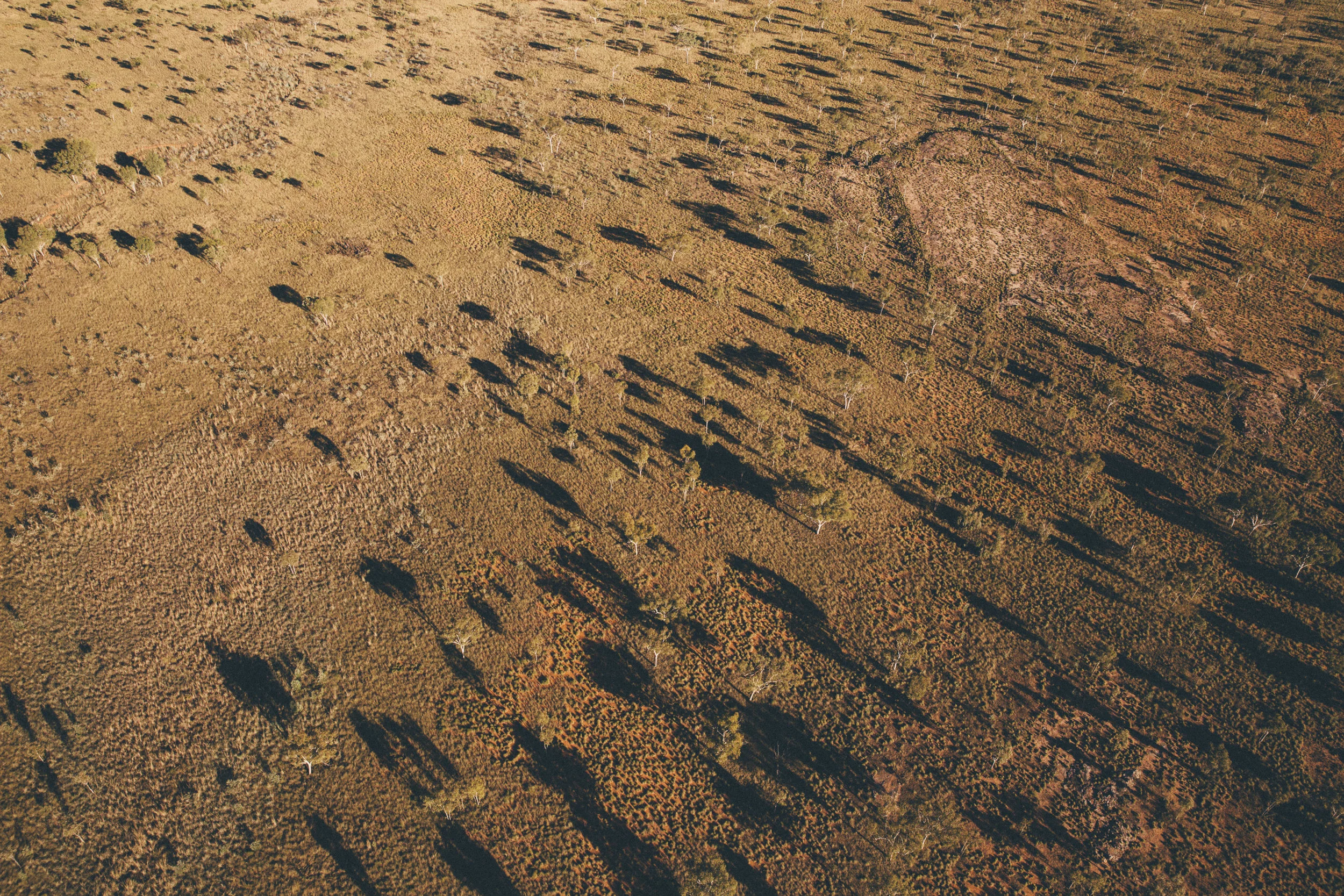 L2 4X RUN (3 of 3).jpg