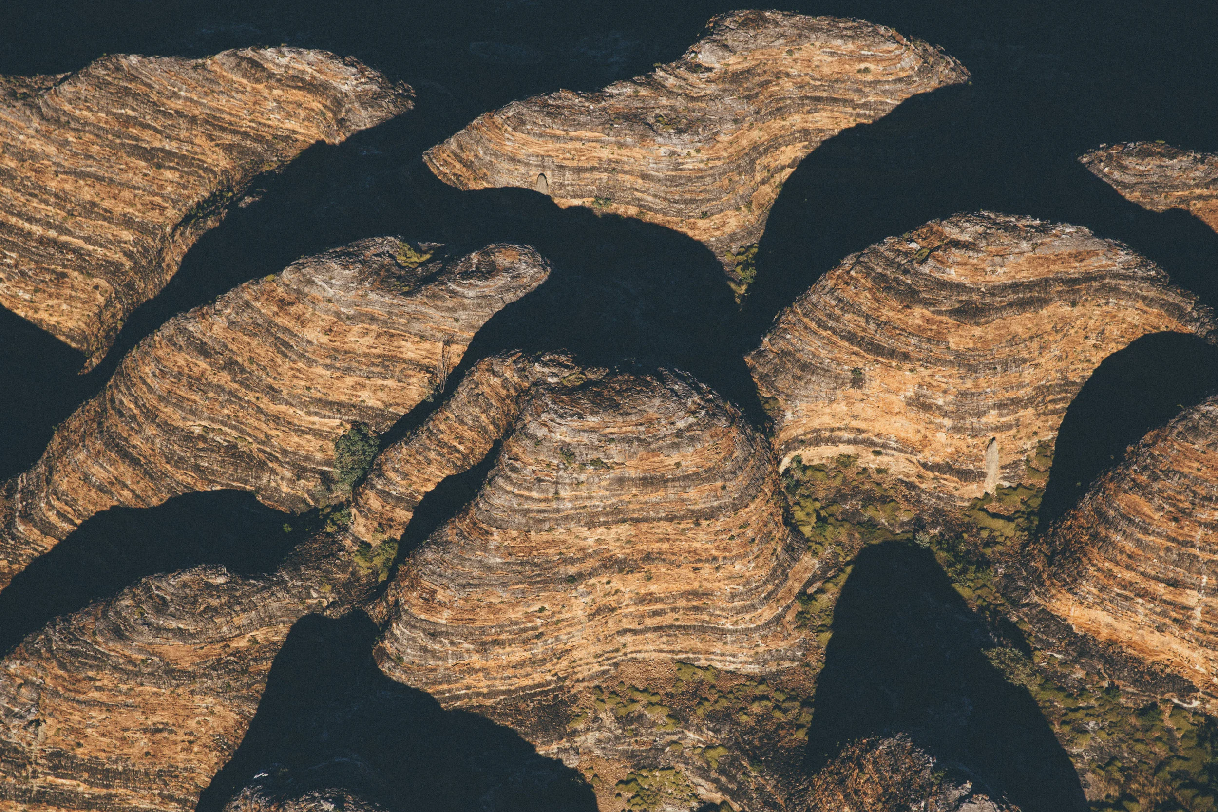 L2 4X RUN (2 of 3).jpg