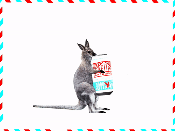 ezgif.com-video-to-gif (20).gif