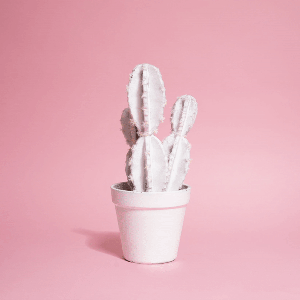 ezgif.com-video-to-gif (3).gif