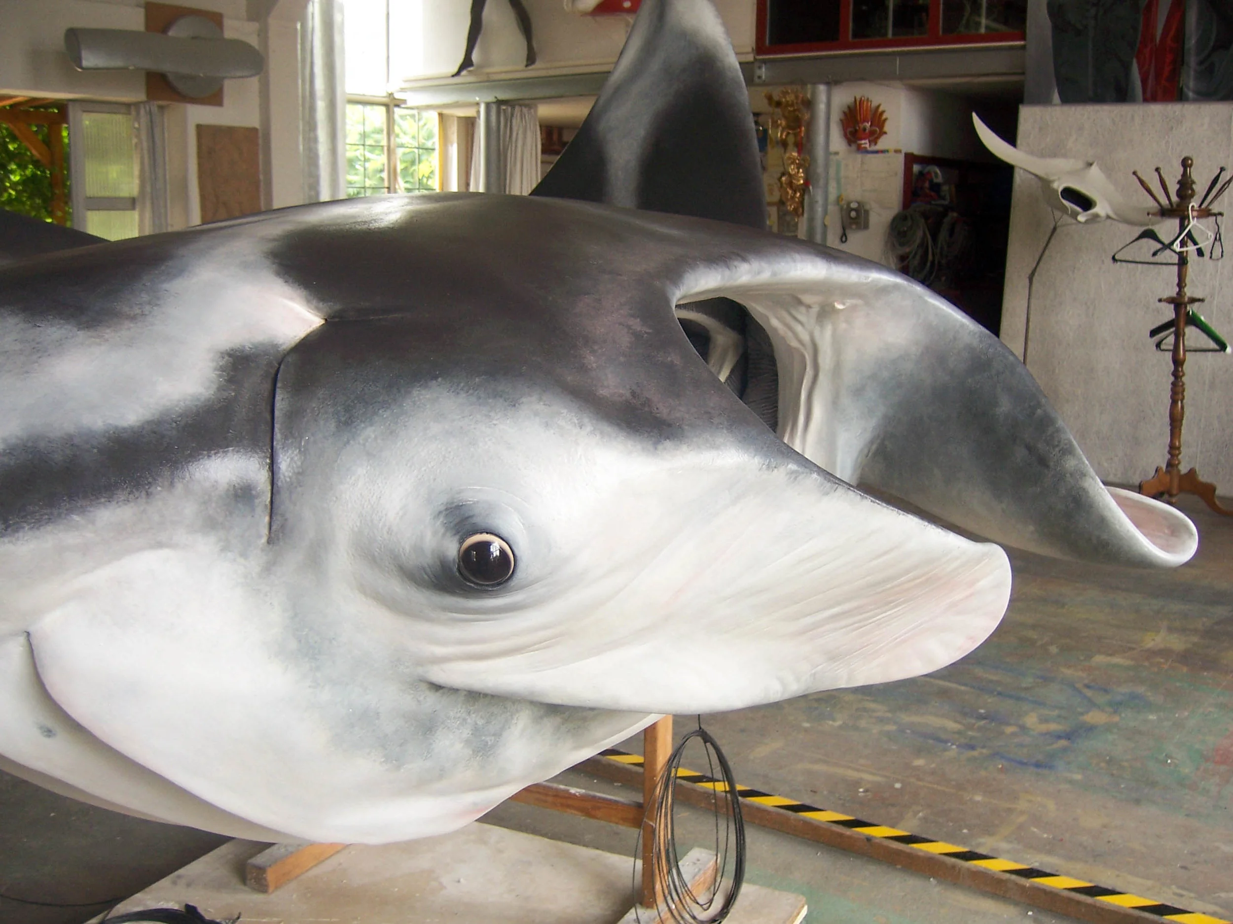 Manta 2.jpg