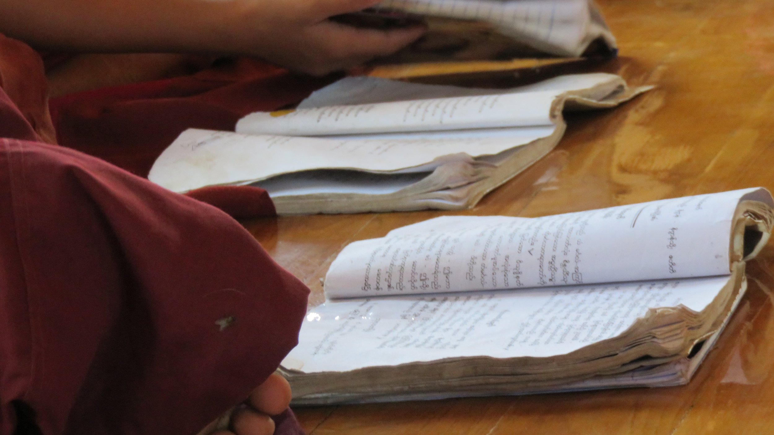 Myanmar_young monks studying (1).jpg