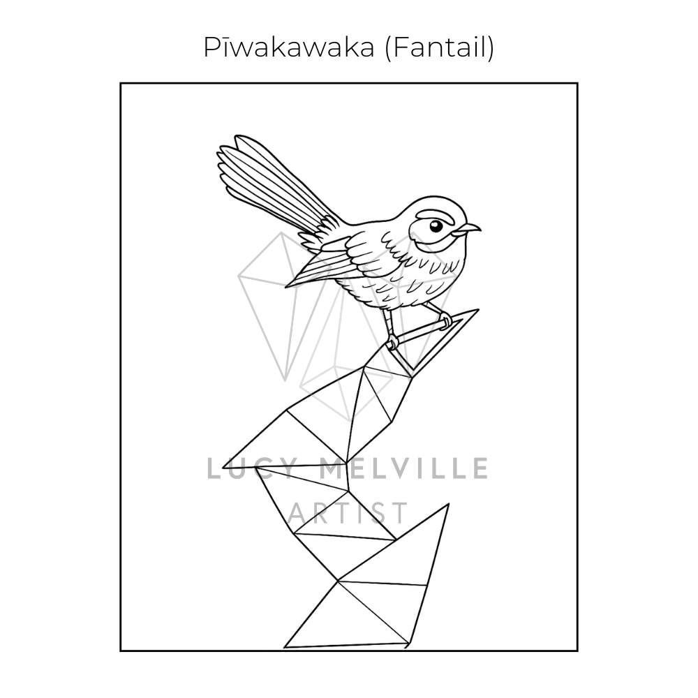 Lucy melville Artist Fantail New Zealand birds colouring book.png