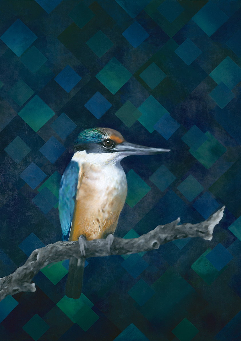 Limited Edition Kingfisher print