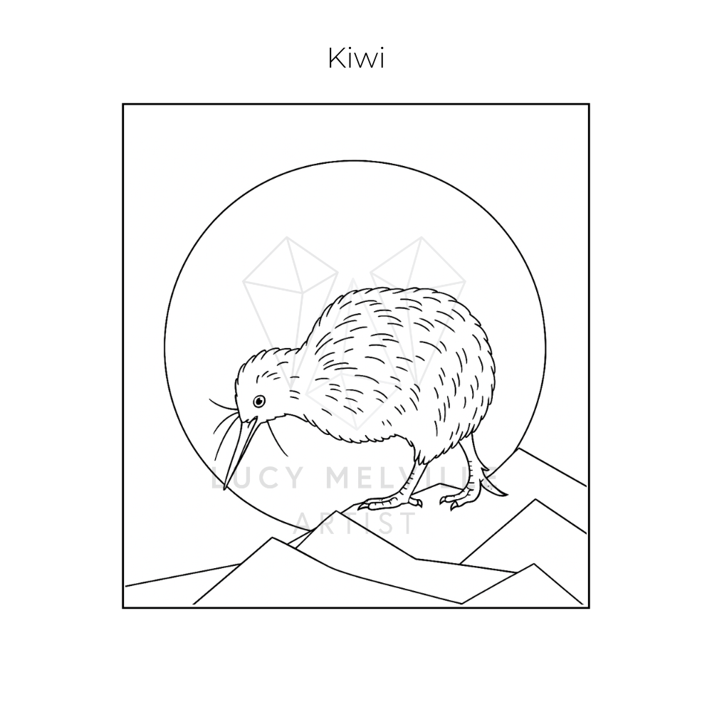 Lucy melville Artist Kiwi New Zealand birds colouring book.png