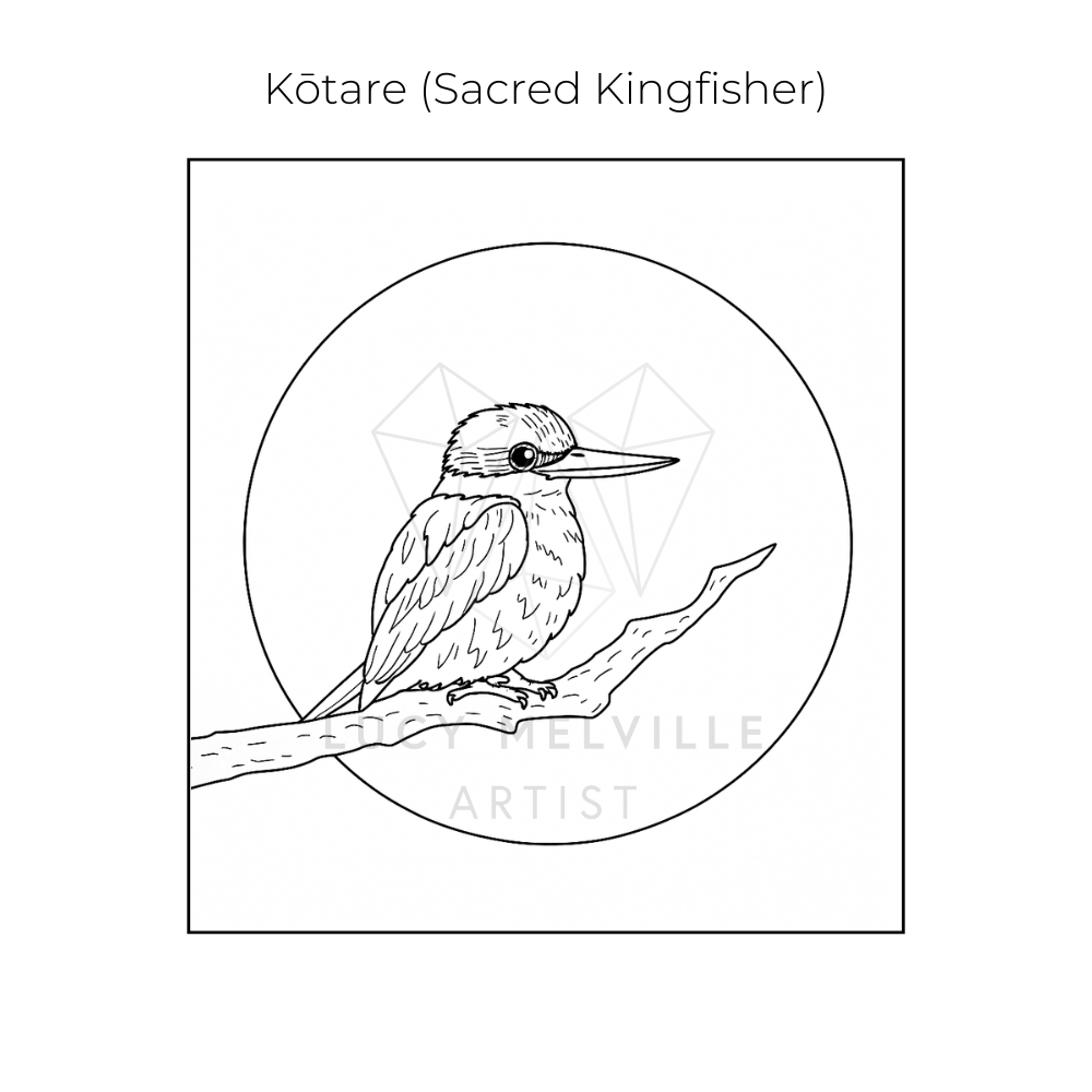 Lucy melville Artist Kingfisher kotare New Zealand birds colouring book.png