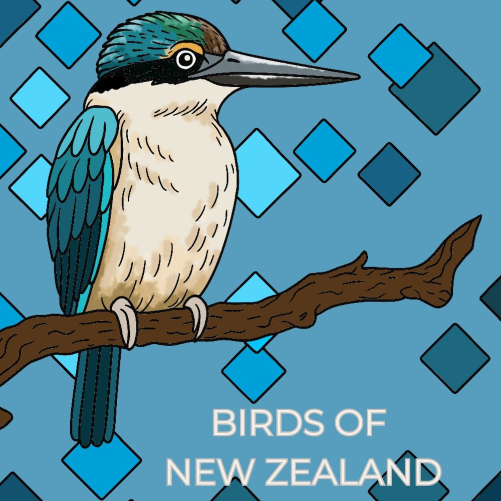 New Zealand Birds Colouring Book For Palestine.png