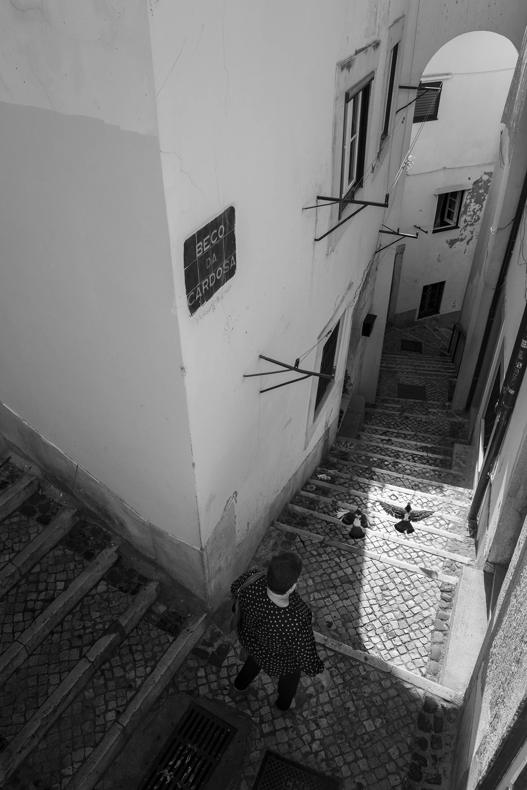 ALFAMA #2