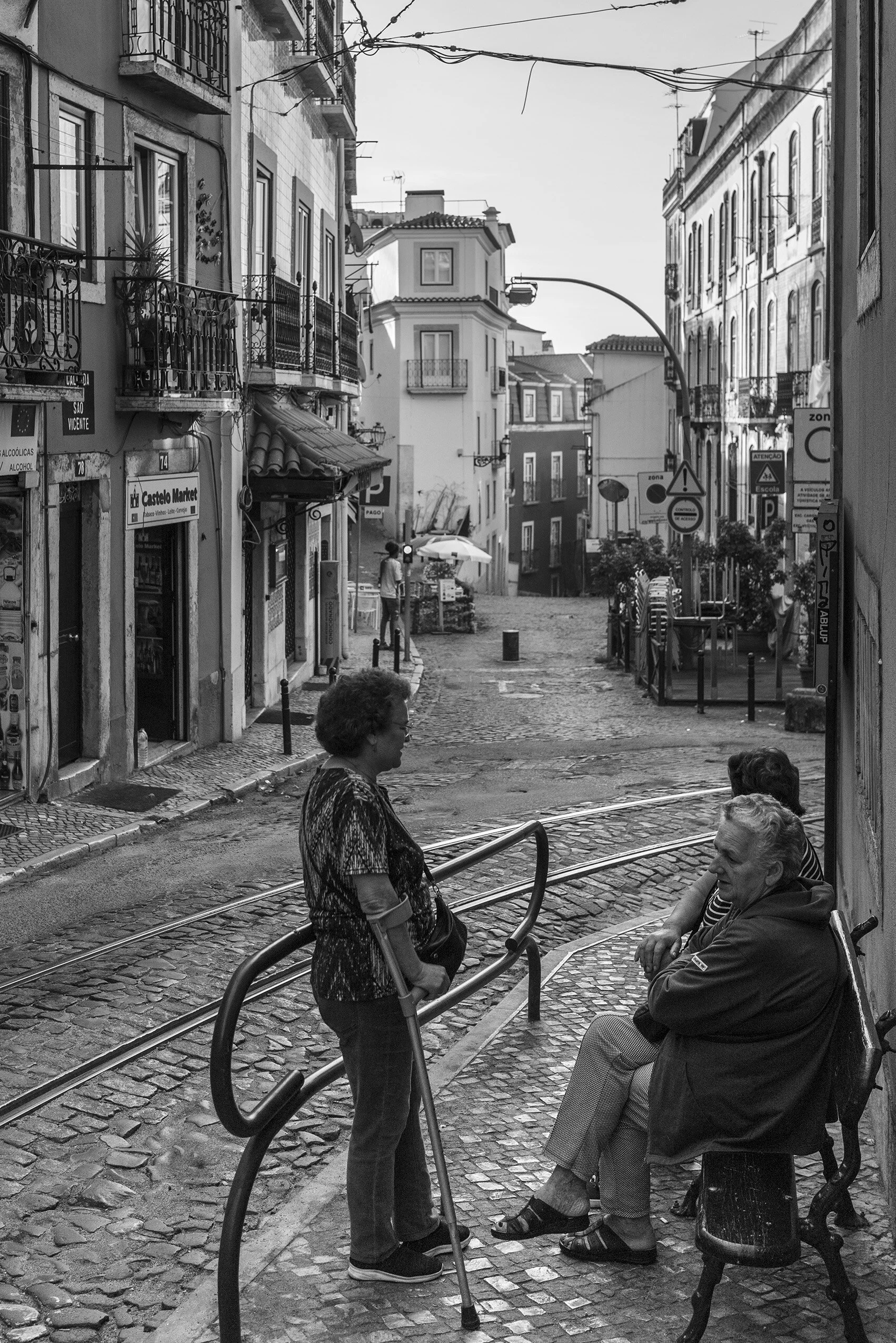 ALFAMA #5