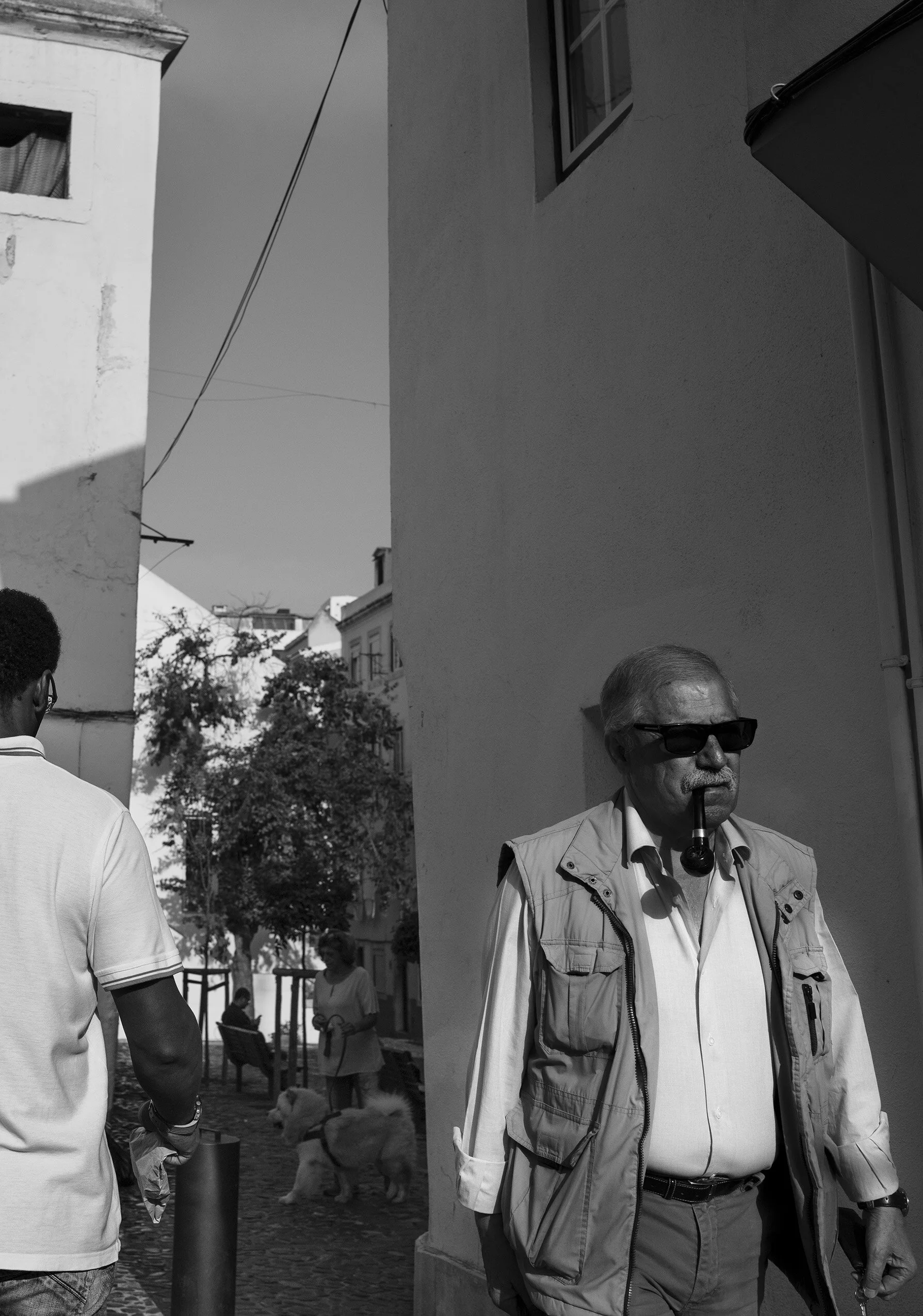 MARTIM MONIZ #4
