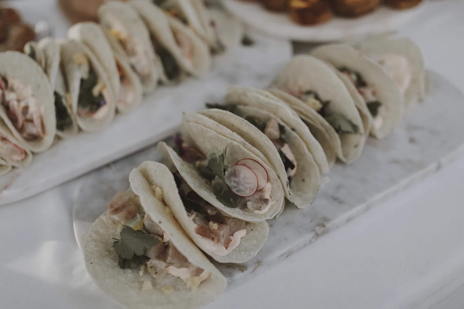 Hiramasa Kingfish, Radish, Puffed Rice, Taco