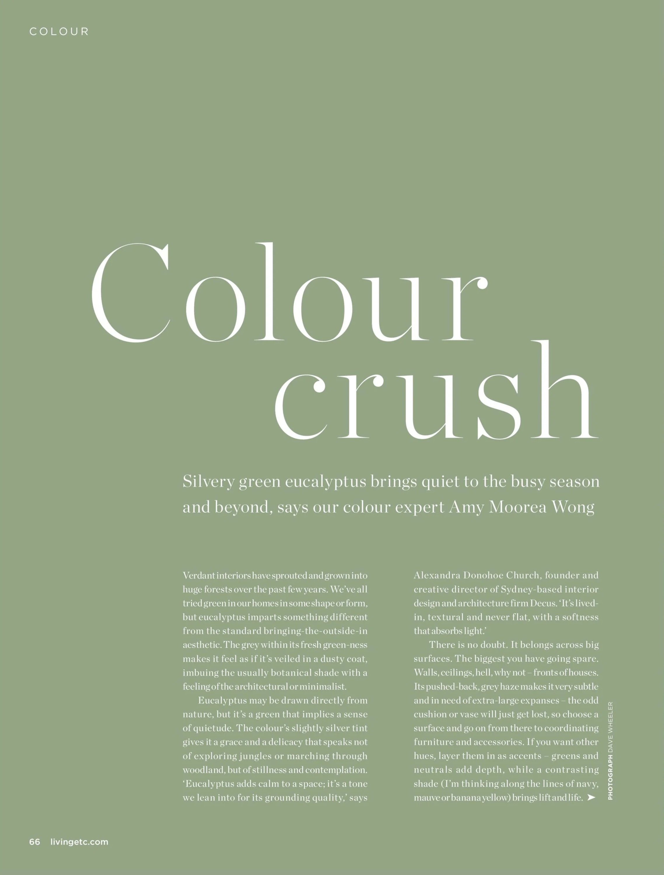 Livingetc - Colour Crush - Eucalyptus