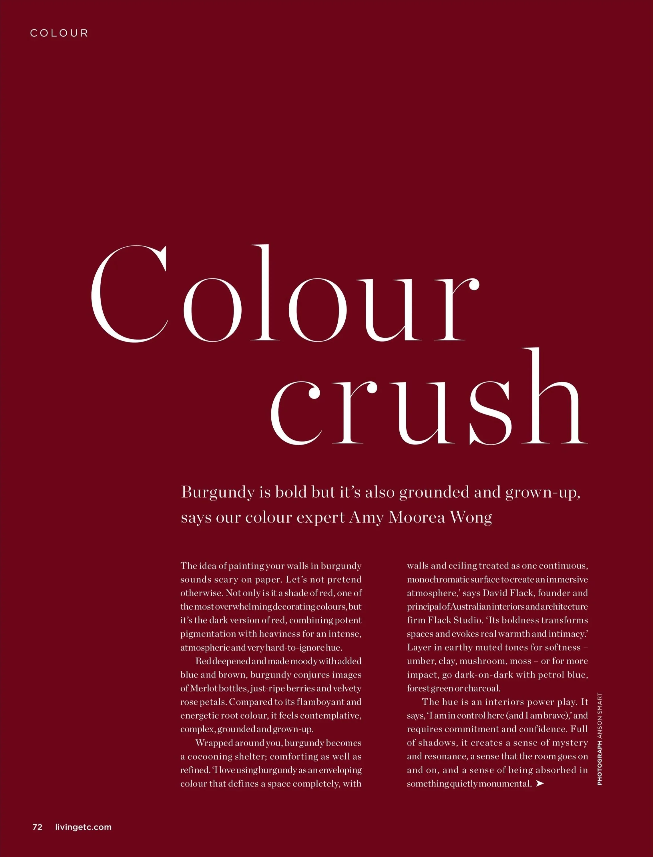 Colour Crush - Burgundy