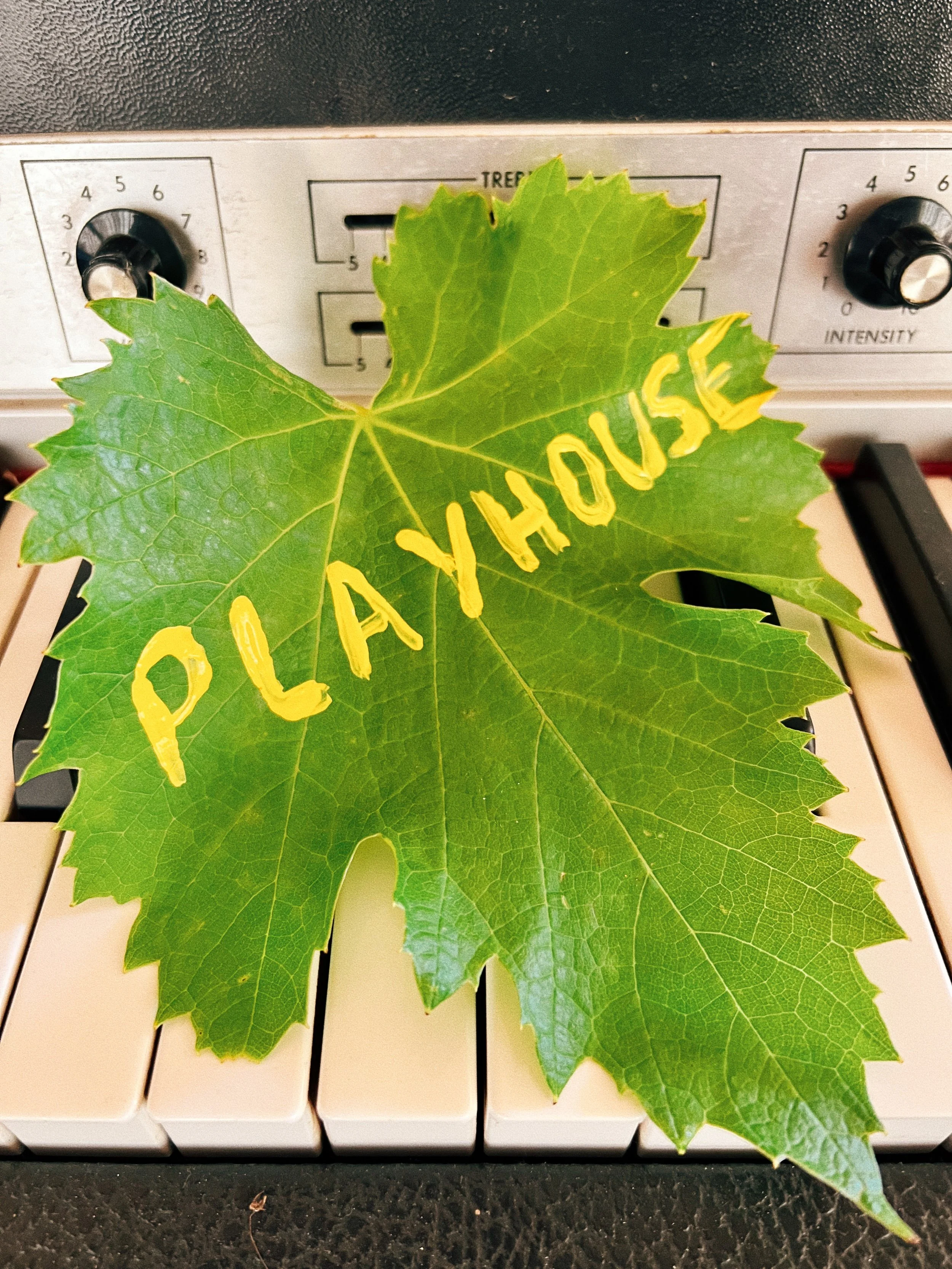 Playhouse // November 26 '22