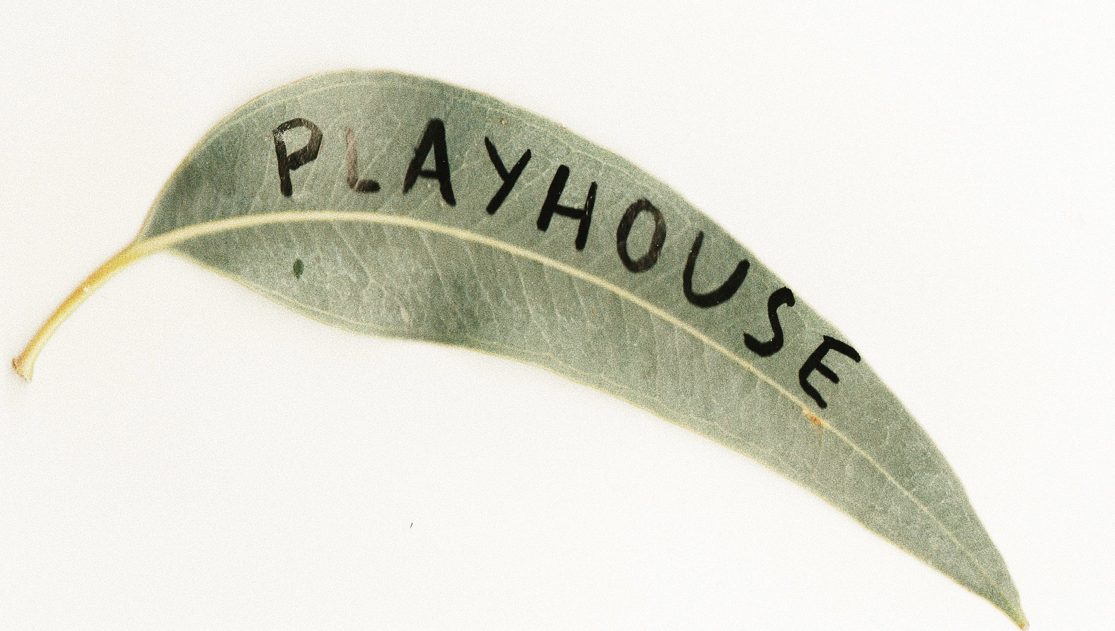 Playhouse // March 18 '23