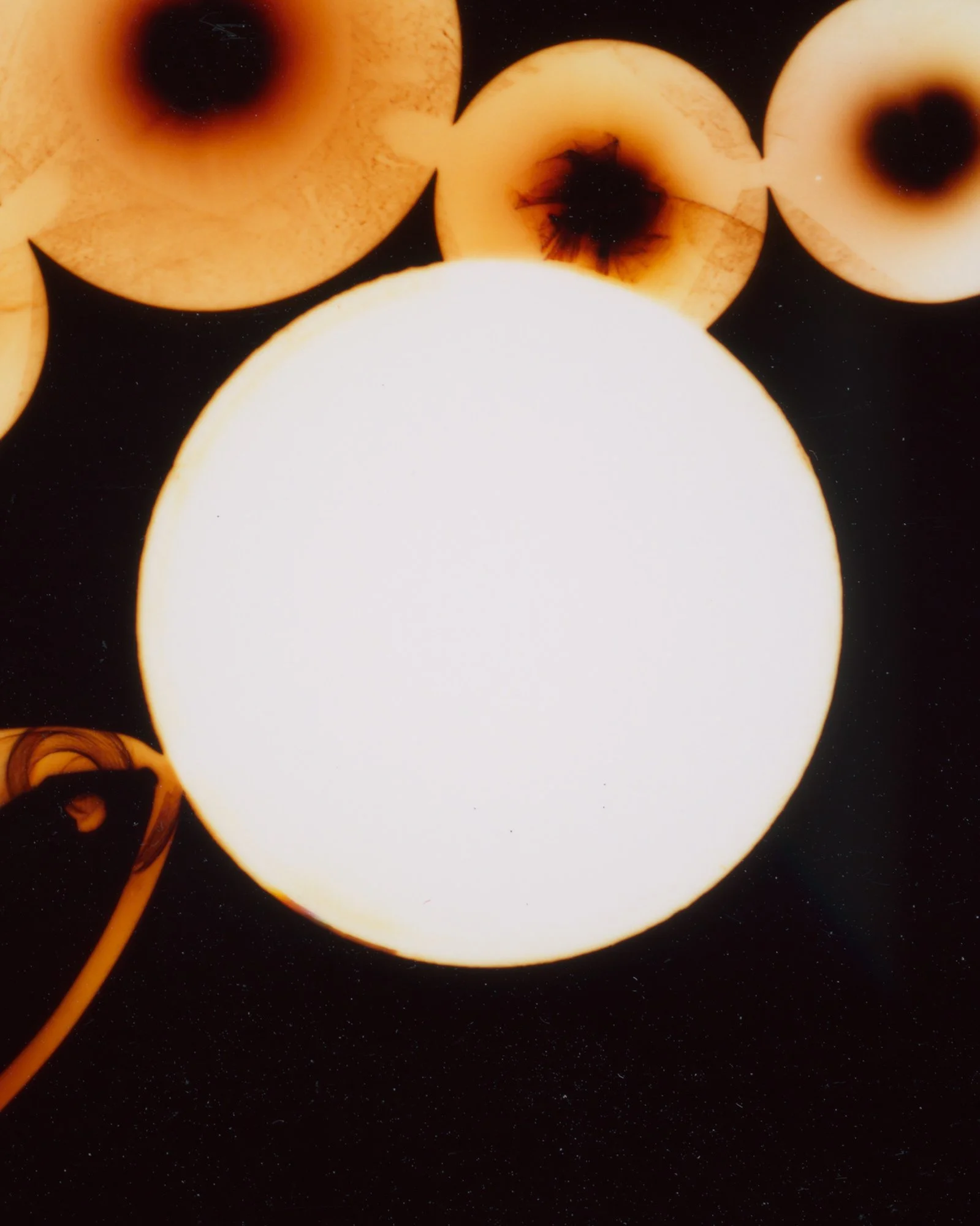 Darkroom-Flowers-III_Nina-Raasch.jpg