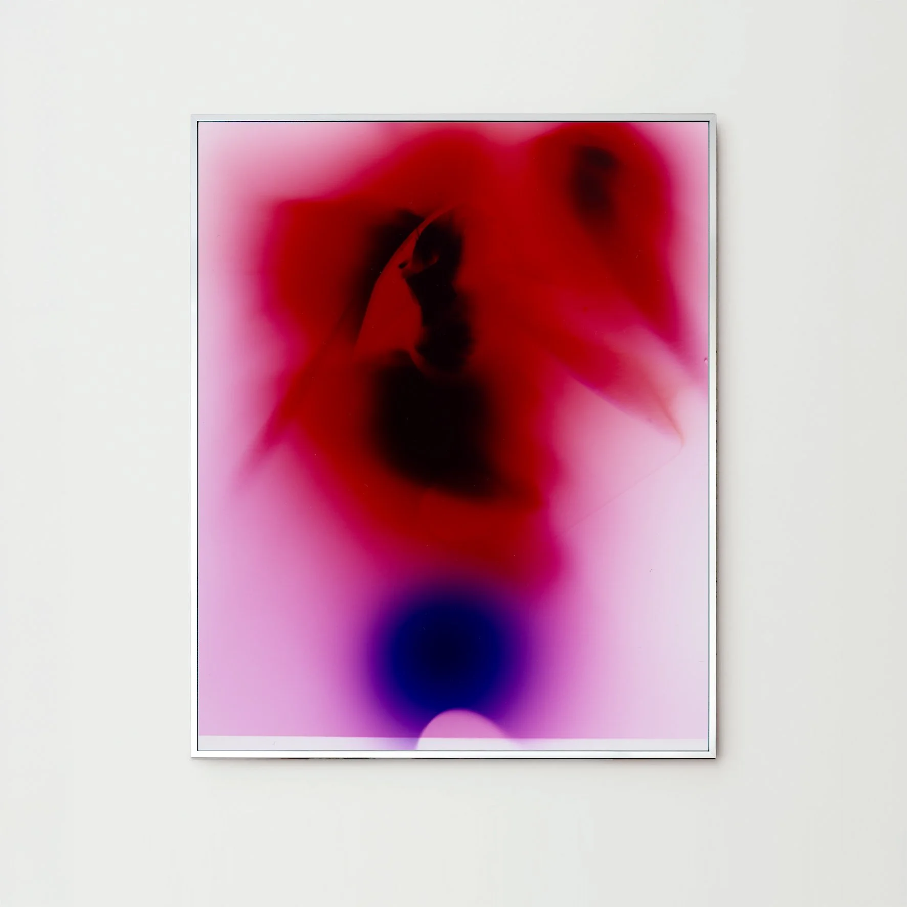 Darkroom-Flowers-II_Nina-Raasch_Rahmen.jpg