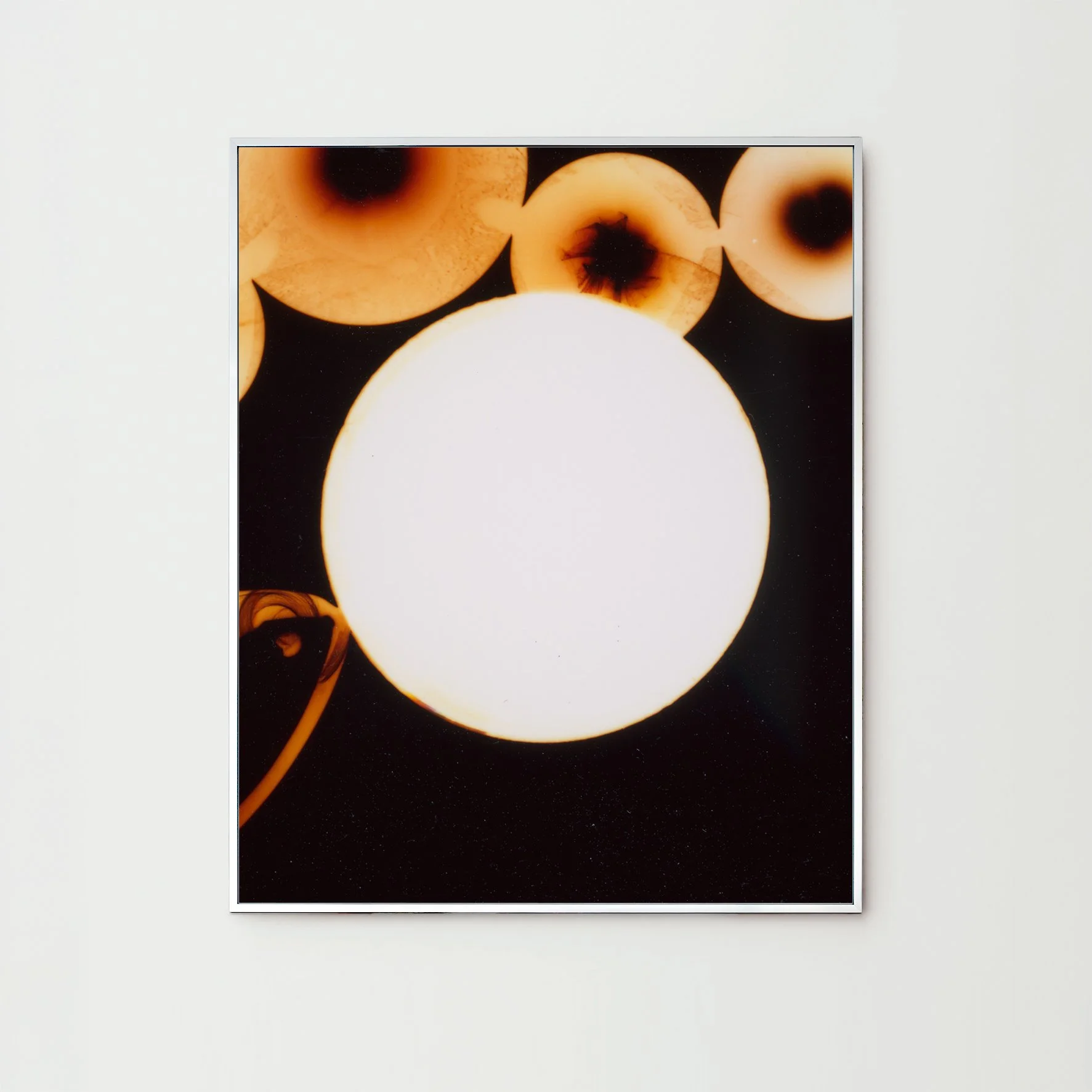 Darkroom-Flowers-III_Nina-Raasch_Rahmen.jpg