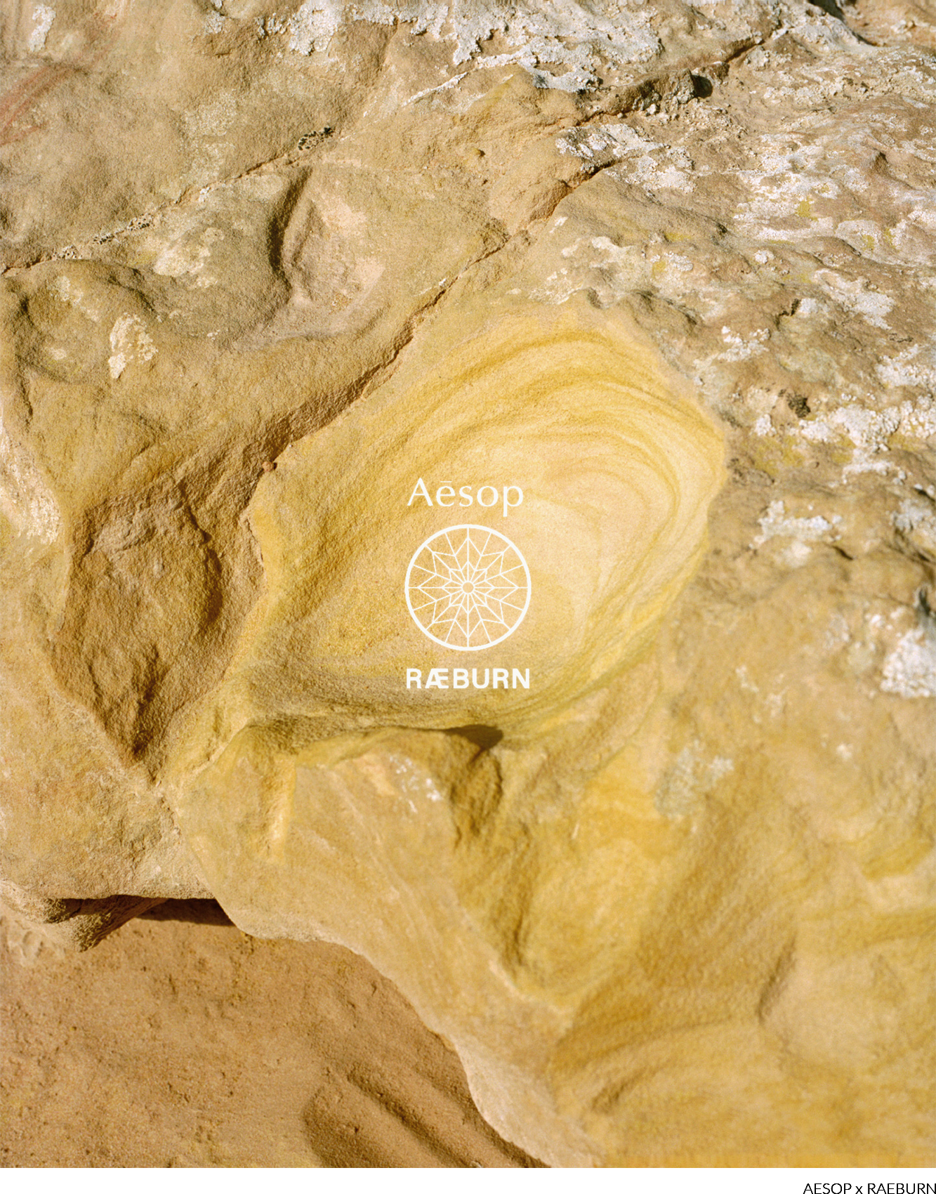 Nina-Raasch_AESOP-02.png