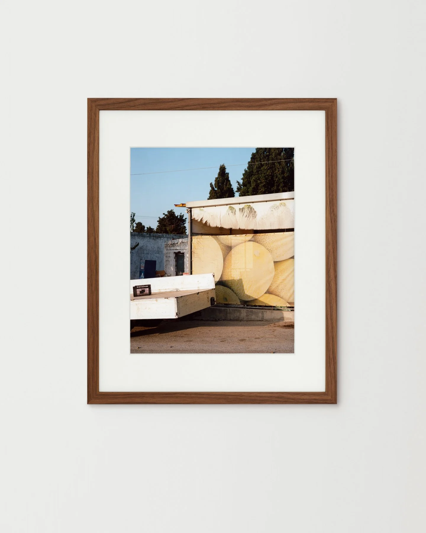 Nina-Raasch_Melons_30x37,5cm_brown.jpg