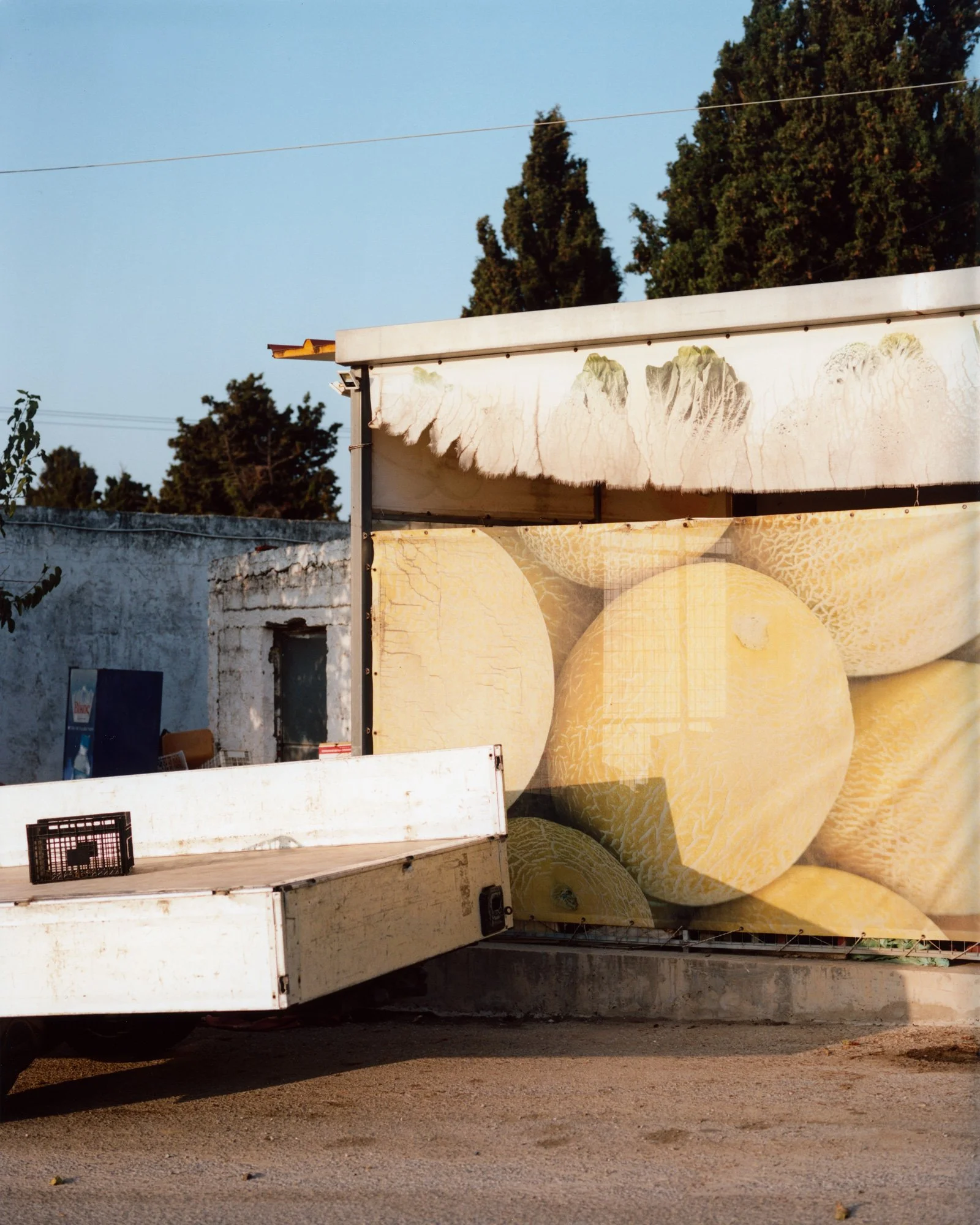 Nina-Raasch_Melons_30x37,5cm.jpg