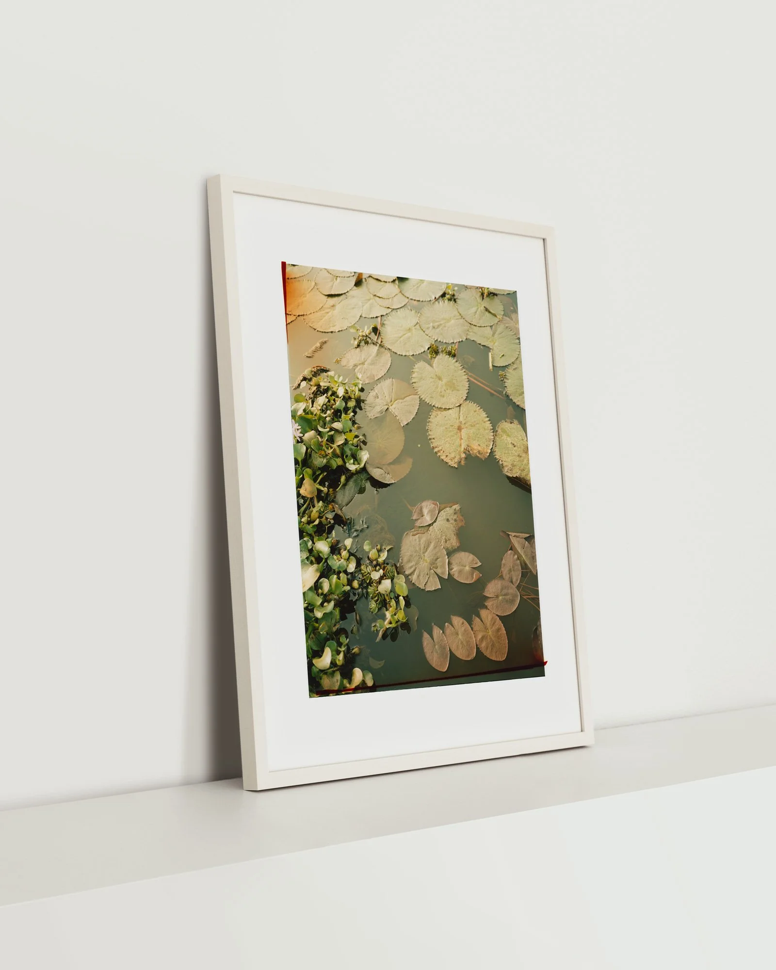 Nina-Raasch_India-Lily_80x65cm_seite.jpg