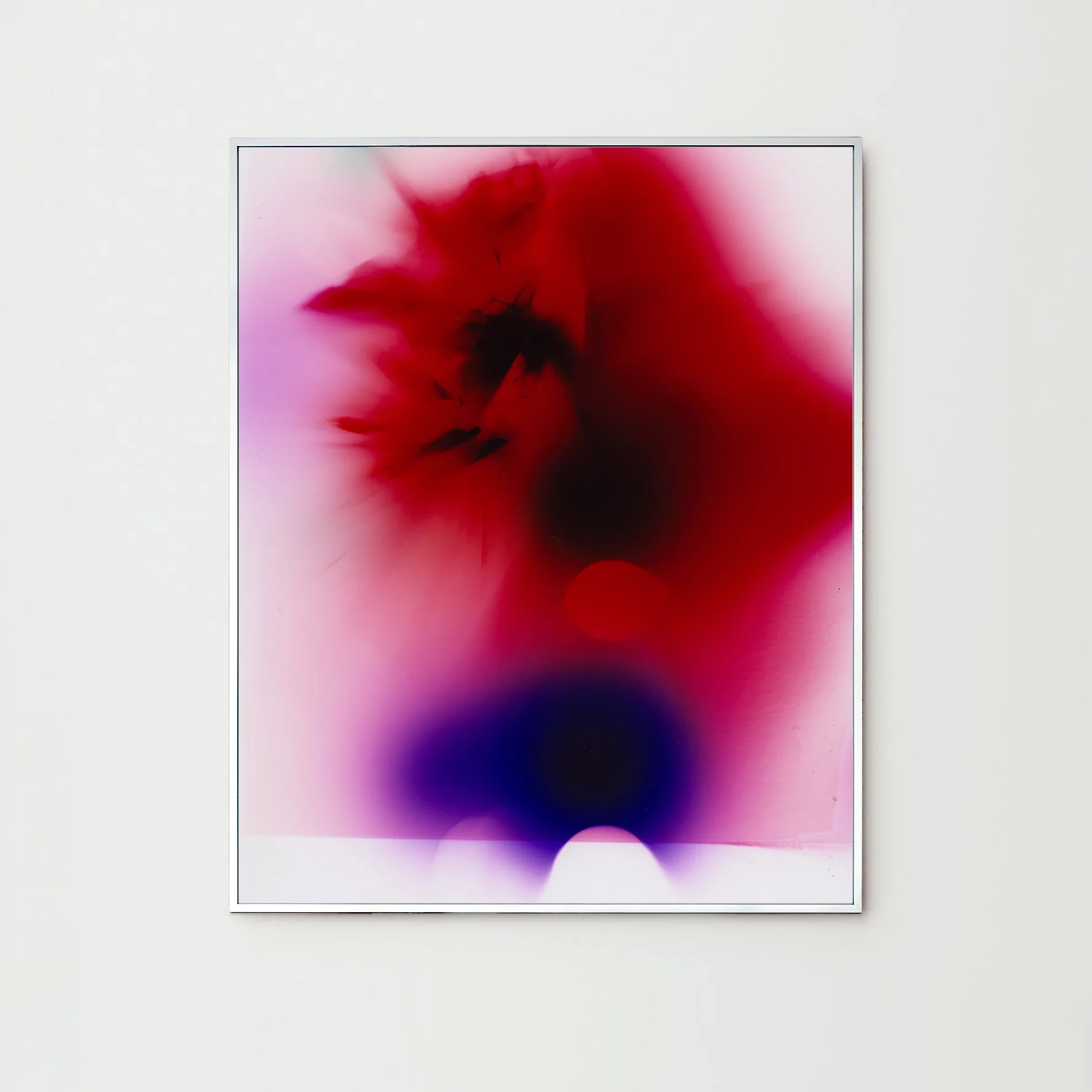 Darkroom-Flowers-I_Nina-Raasch_Rahmen.jpg
