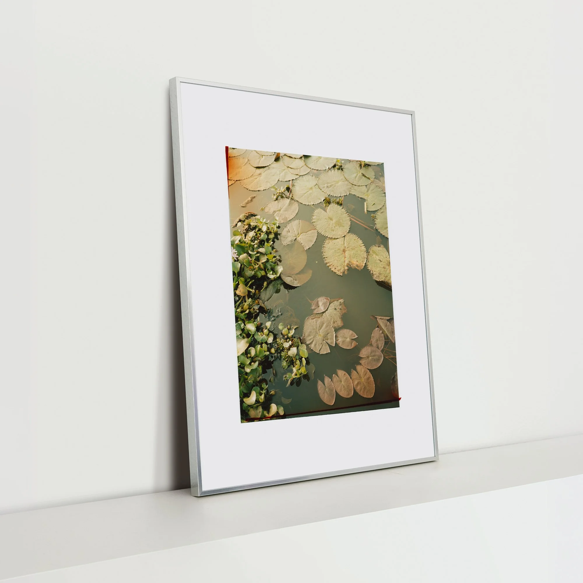 Lily_Nina-Raasch_Rahmen_Silber_80x65_Seite.jpg