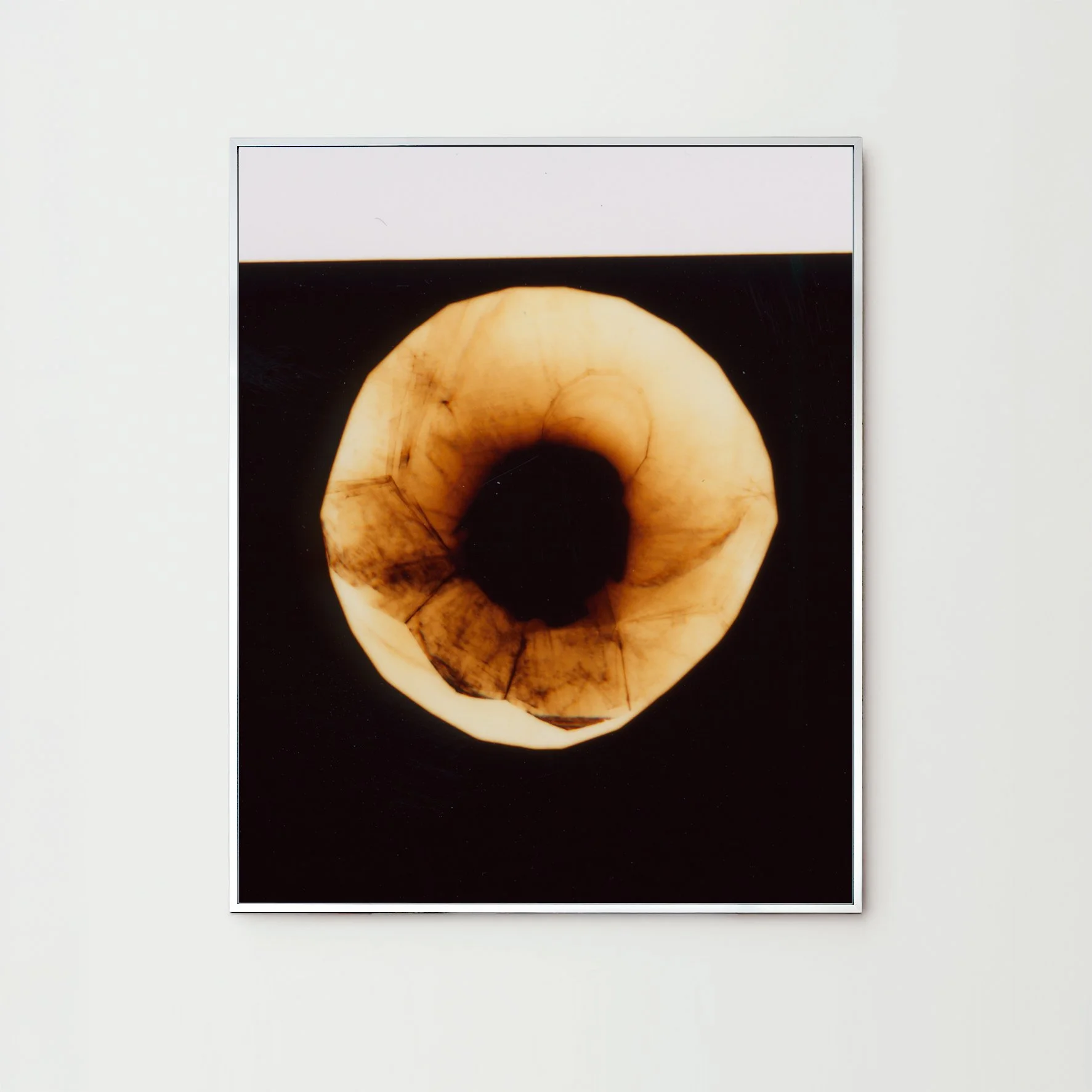 Darkroom-Flowers-IV_Nina-Raasch_Rahmen.jpg