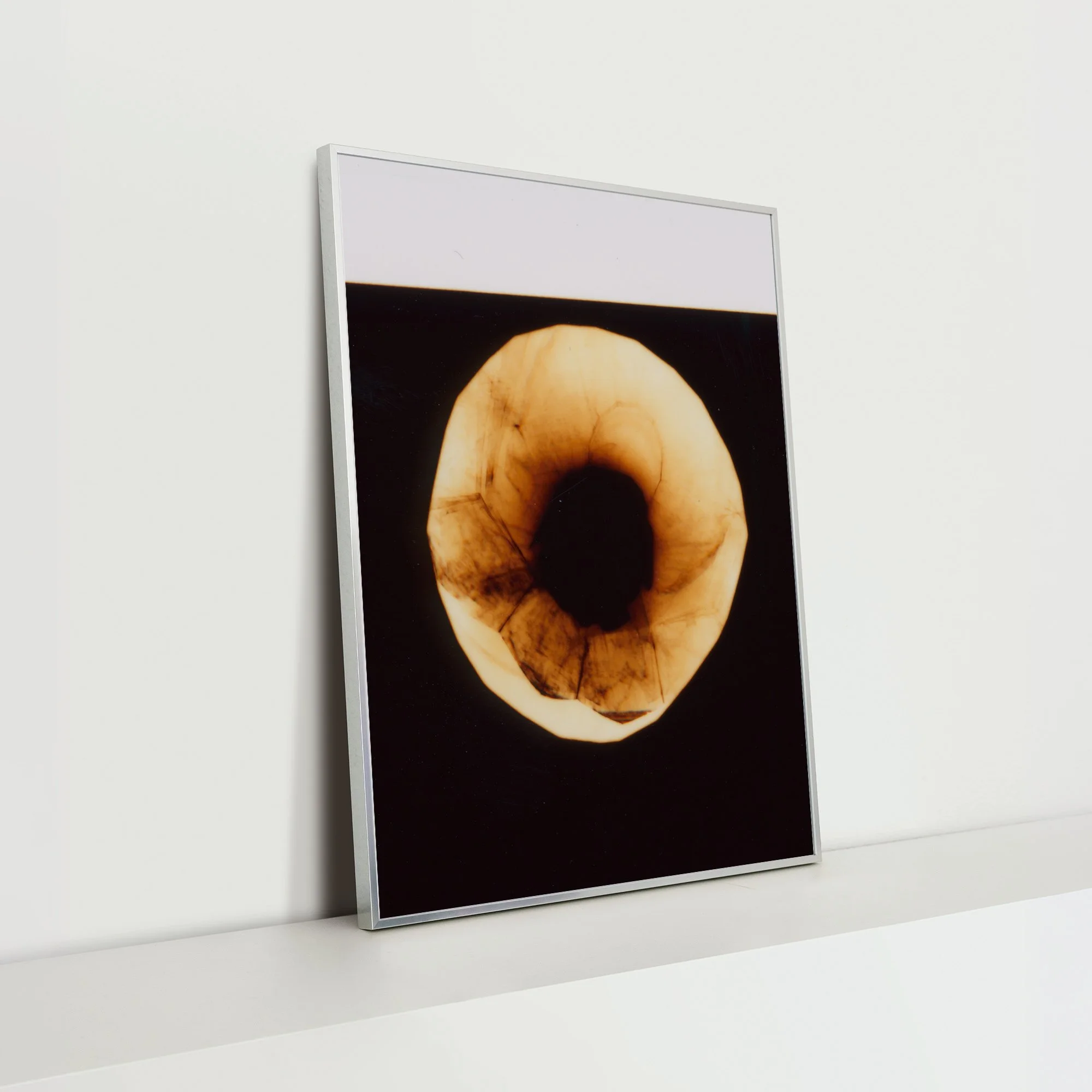 Darkroom-Flowers-IV_Nina-Raasch_Rahmen_Seite.jpg