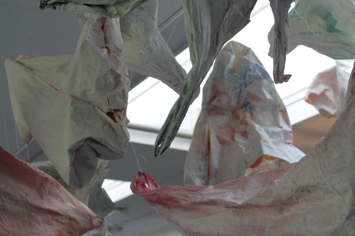 IMG_2783 (Medium).JPG