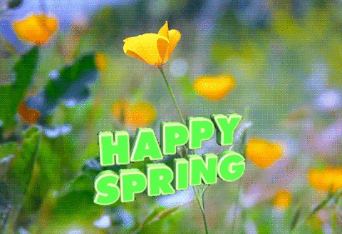 02d23dfa-b1d2-419e-805a-0af43537c305.gif