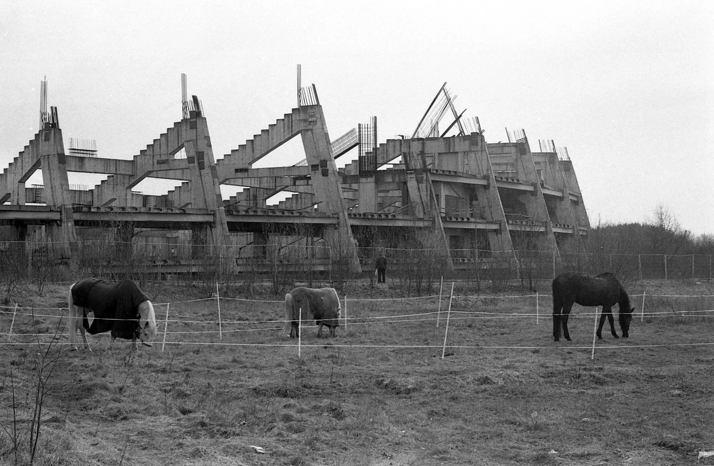 This photo made me feel cold. I tried to capture the brutality of the building and the mundane feel of grazing horses by keeping the track empty but harsh all the same. Lonely like that singular man, engulfed by the bleak world surrounding him.