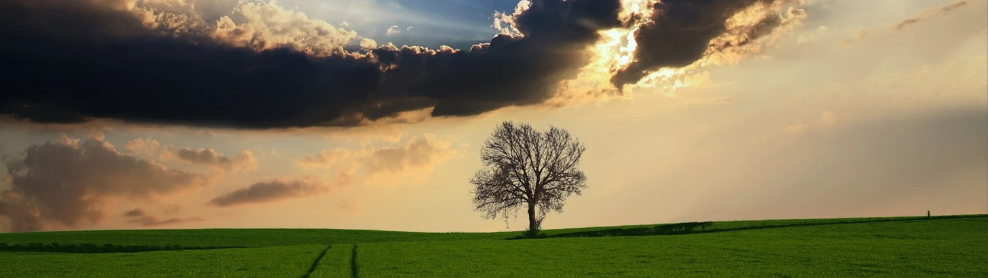 countryside-2175353_1920.jpg
