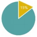 pie chart.jpg
