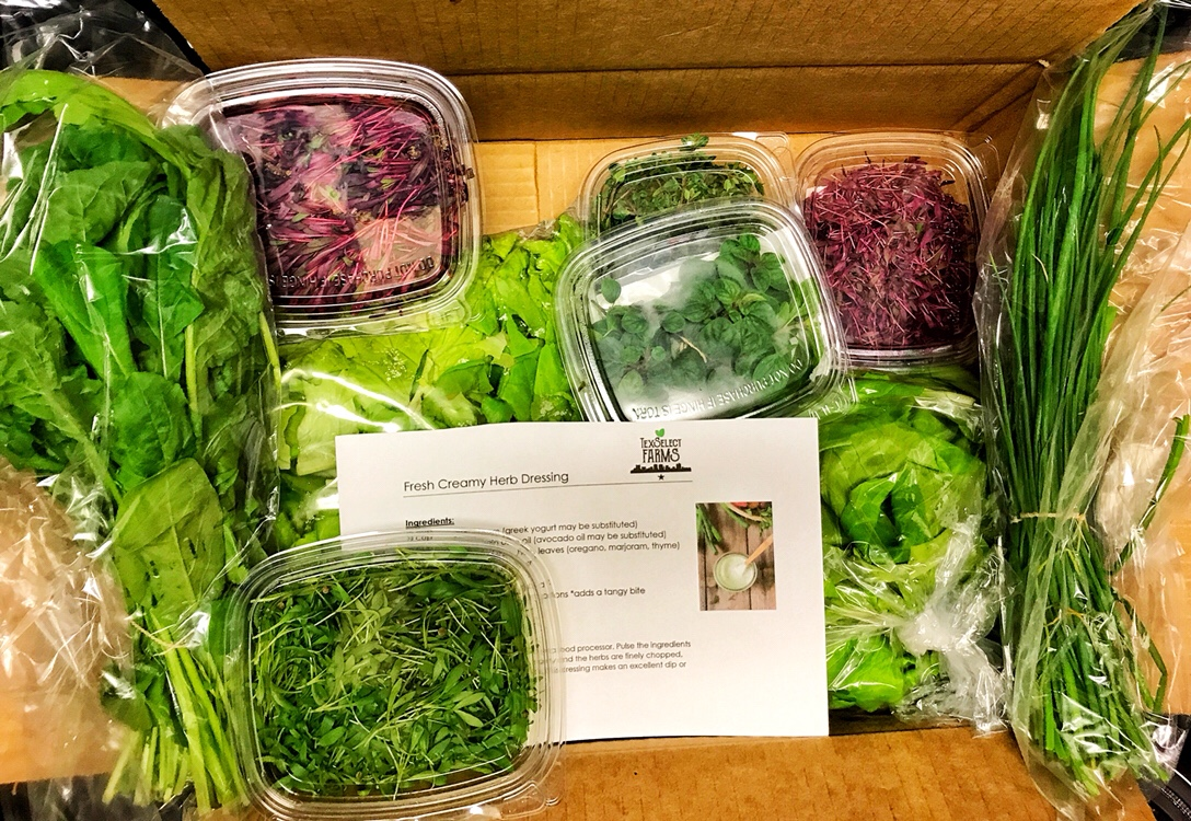 One of our first Weekly Harvest Boxes