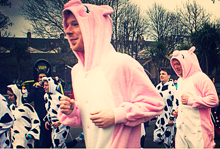 Cow v Pig - March 2017