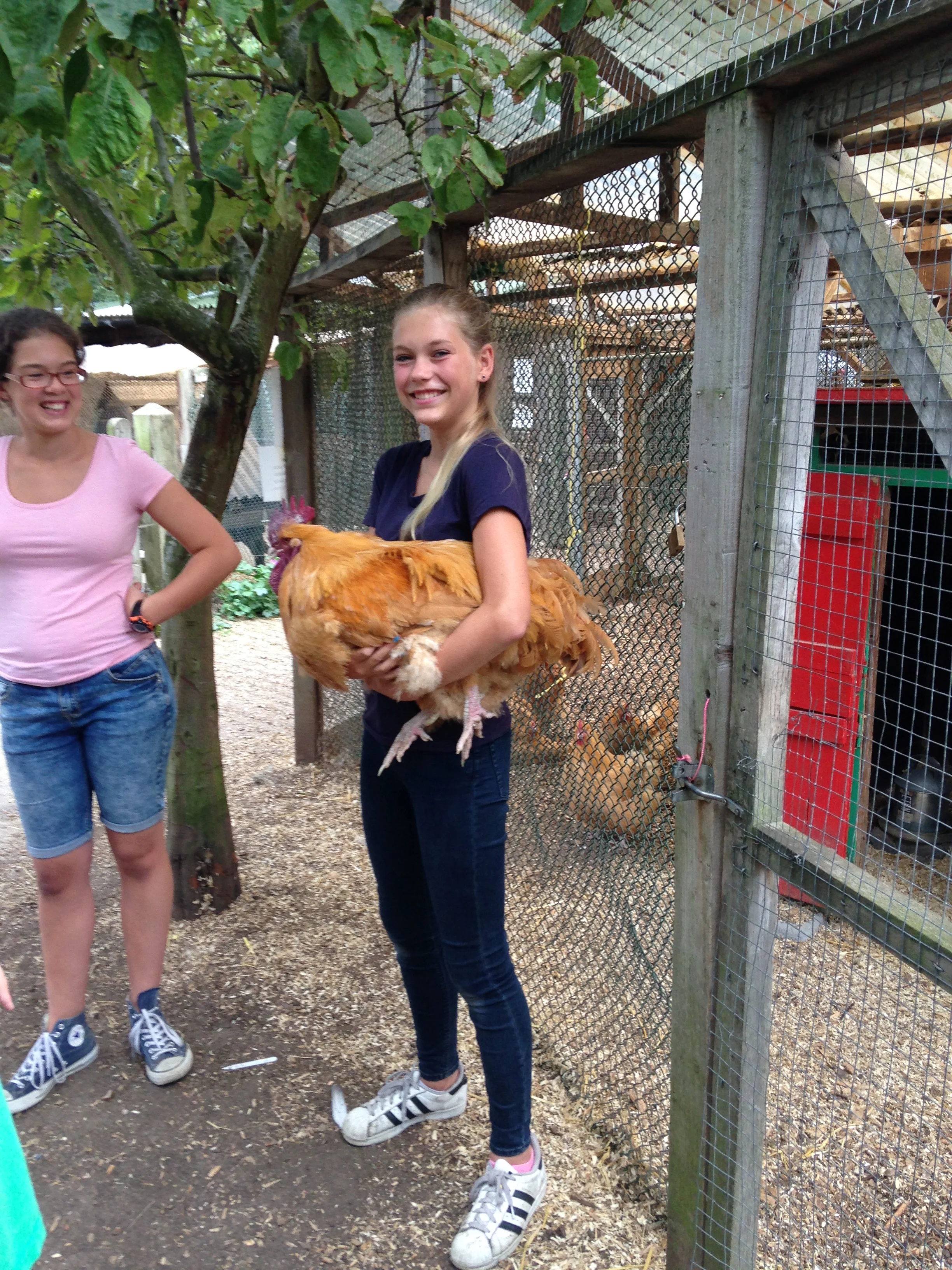 Islington Young People Discover- Freightliners Farming