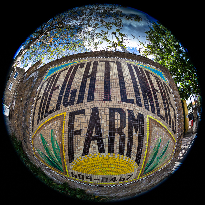 Islington Young People Discover - Freightliners Summer Film Project