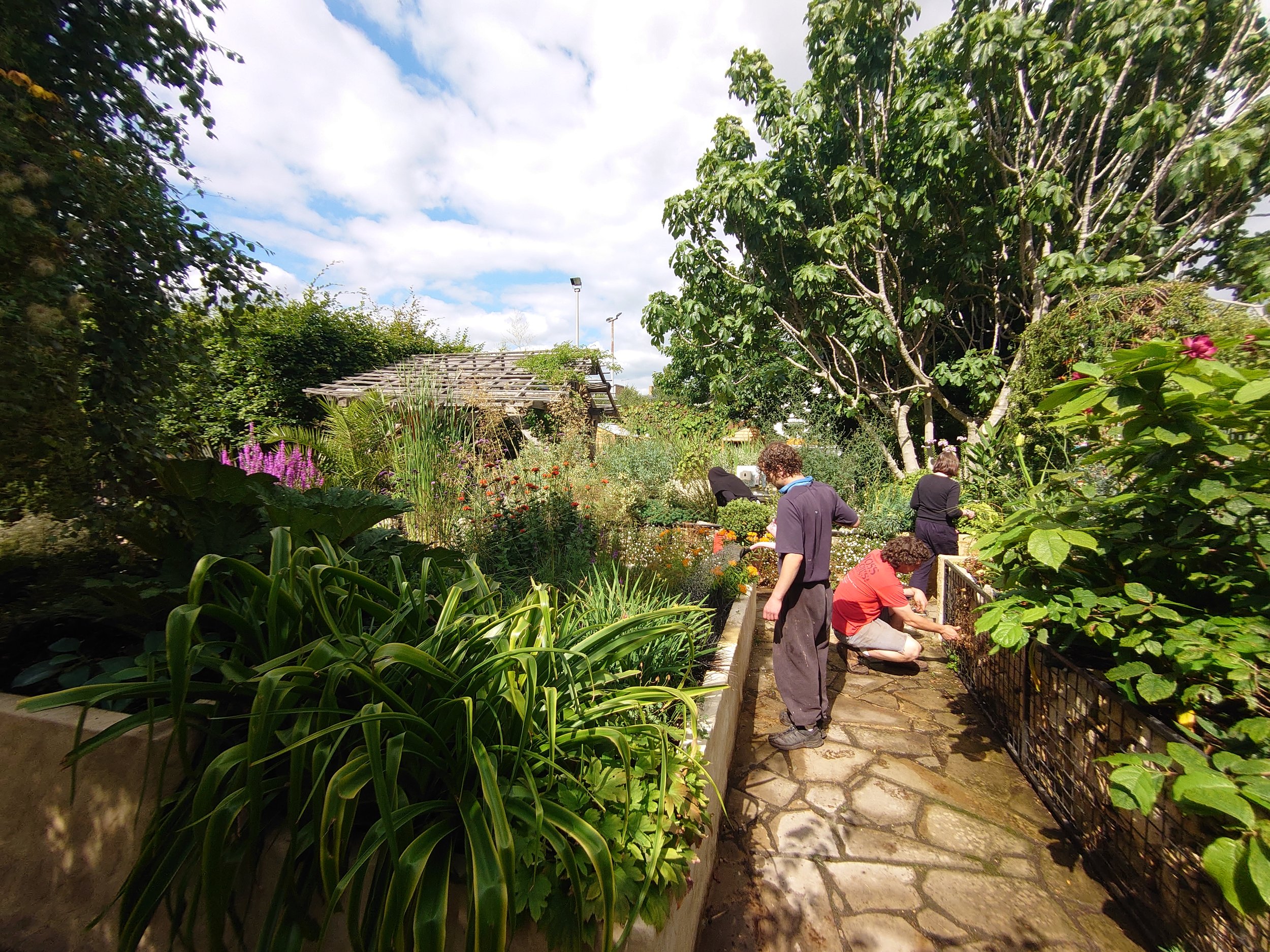 Islington in Bloom 1.JPG