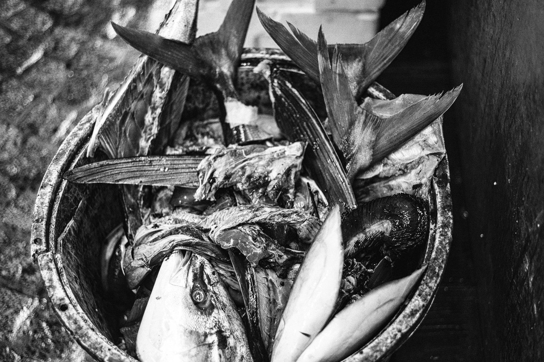 Tsukiji, Tokyo