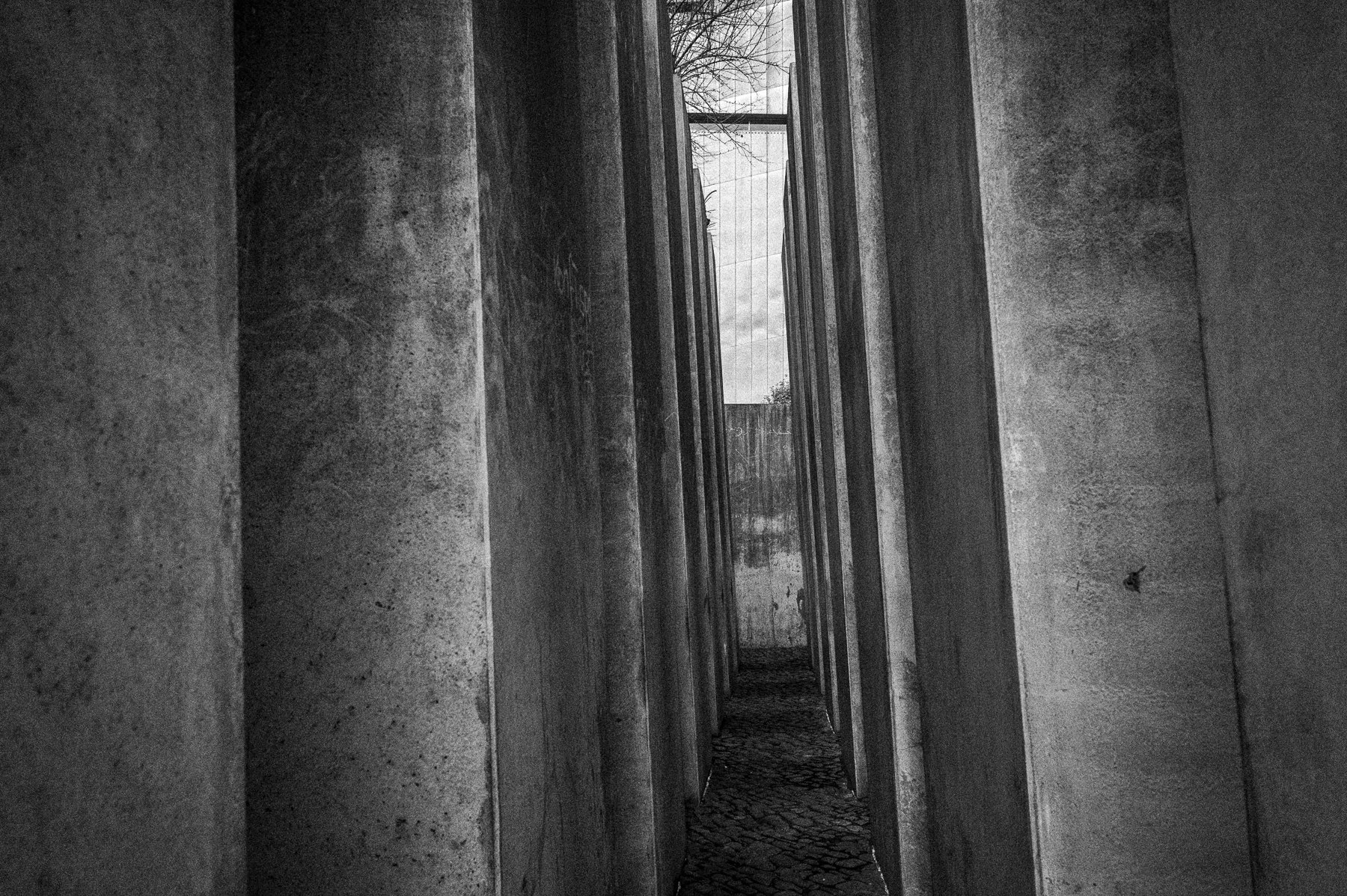Concrete Forest