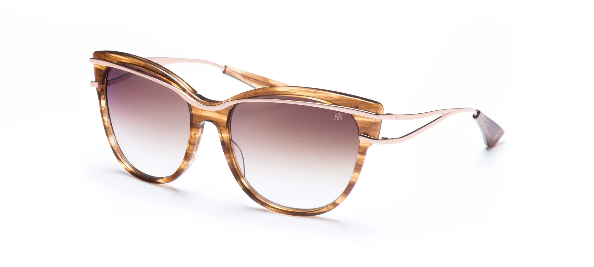 VALYN C5 - DIAG-V2.jpg