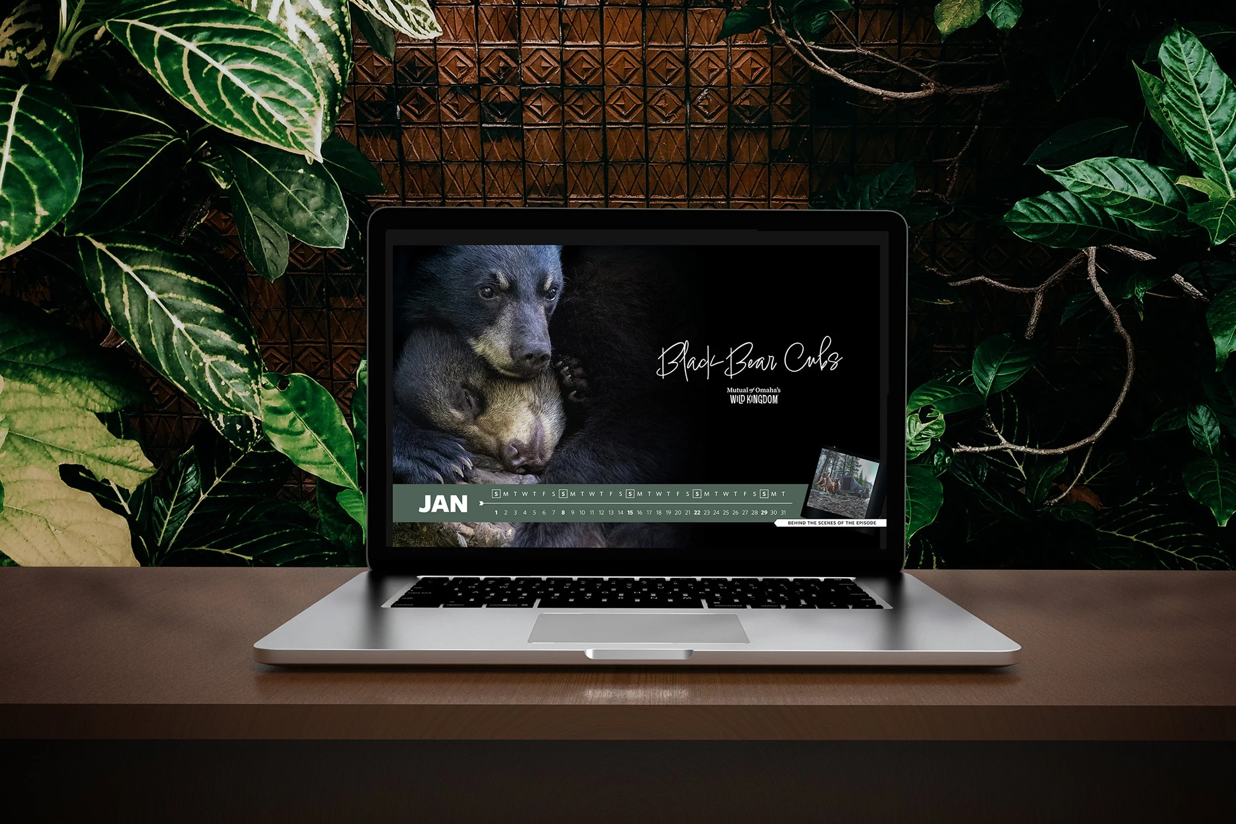 Section4_CalendarDigital_MockUp.jpg