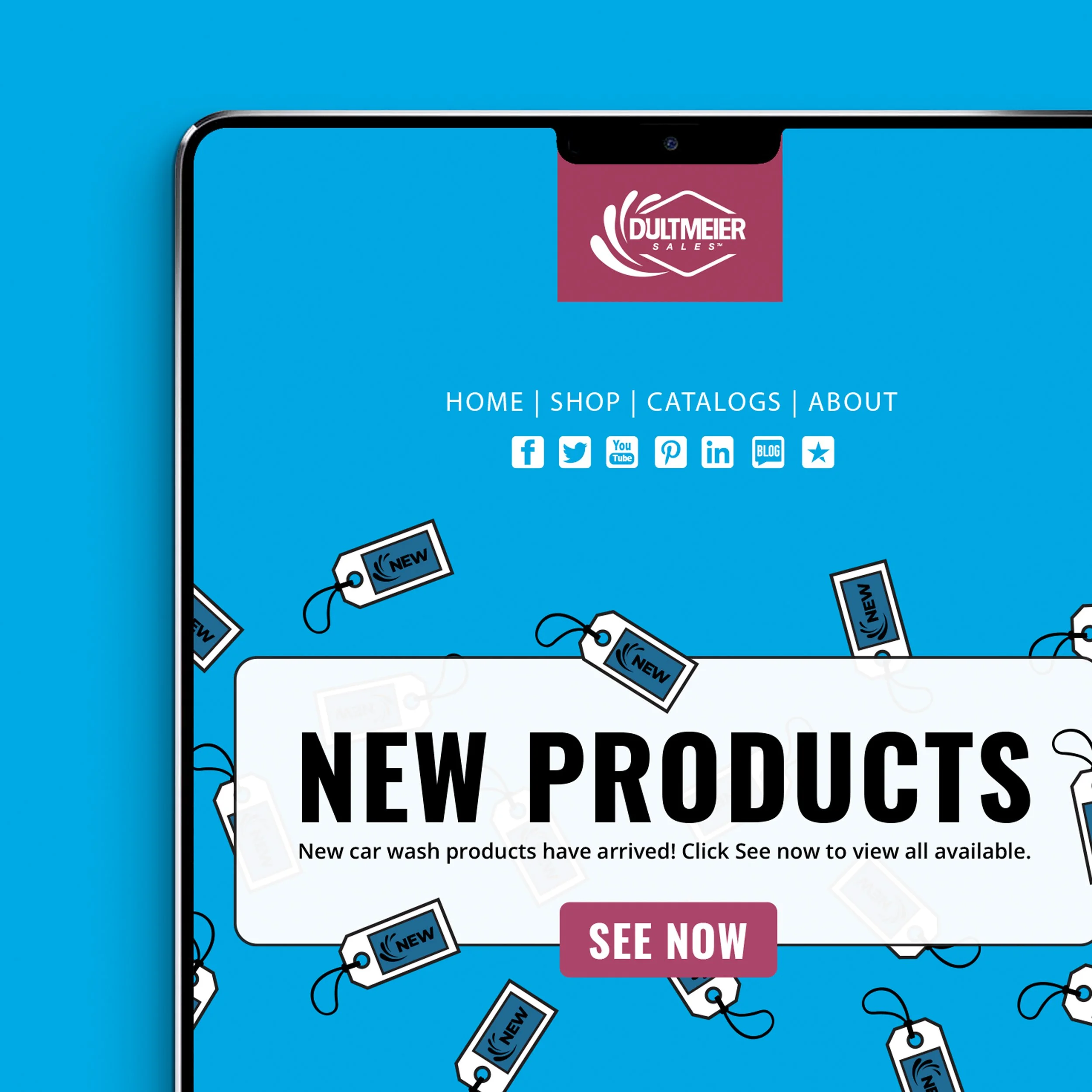 email header design