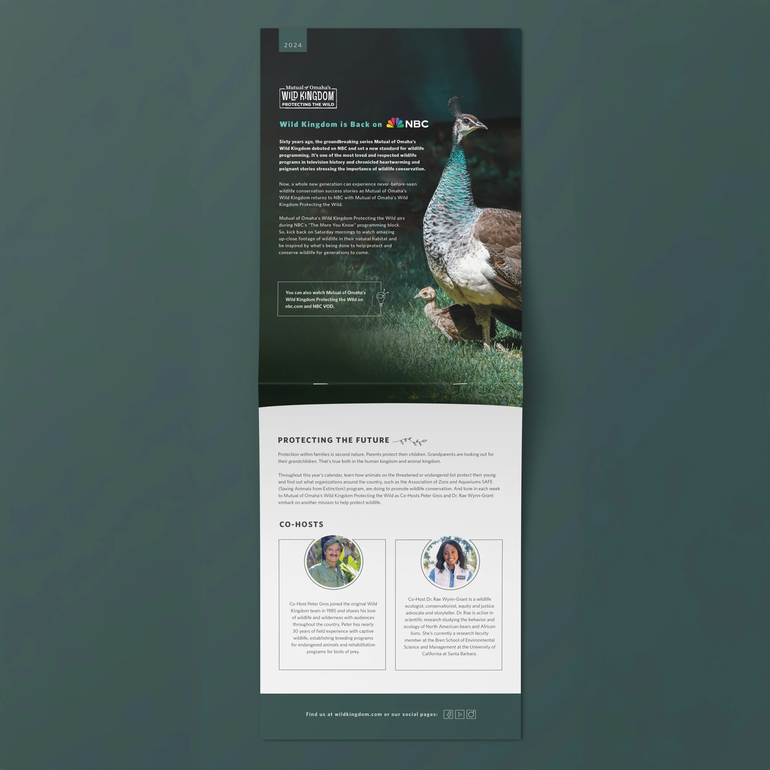 calendar design intro page for wild kingdom